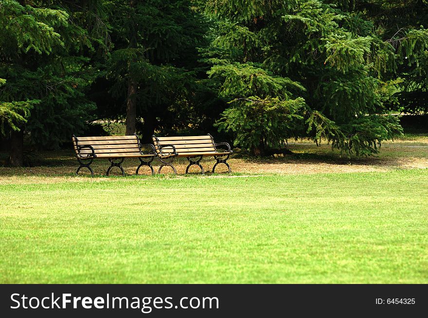 Two bench under the tree whith grassplot in park.