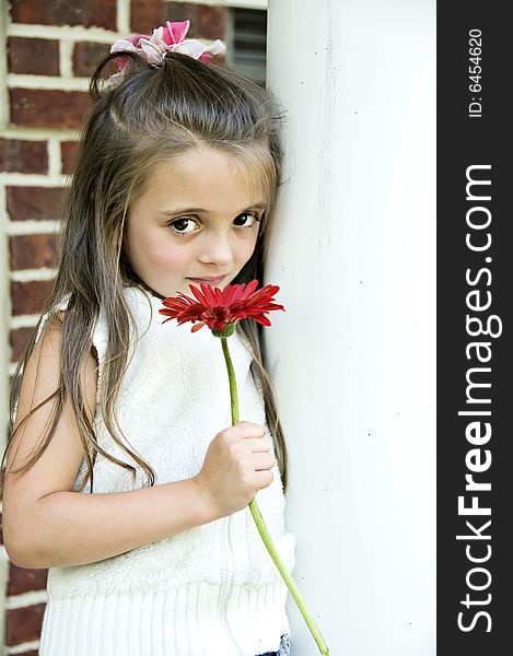 Little girl standing holding a red gerber daisy. Little girl standing holding a red gerber daisy.