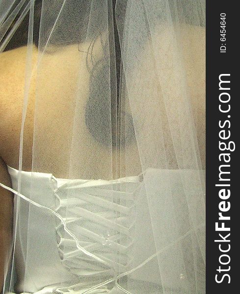 Bride Veiled