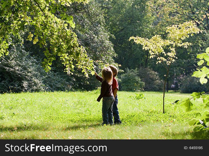 Little boy and girl look at the leaves of tree. Little boy and girl look at the leaves of tree.