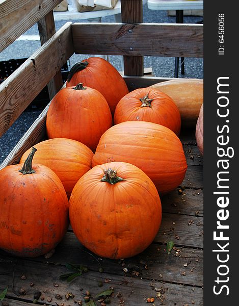 Pumpkins For Sale At The Market