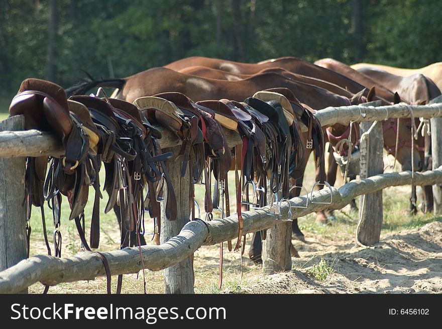 Horse saddles for riding and polo on fence