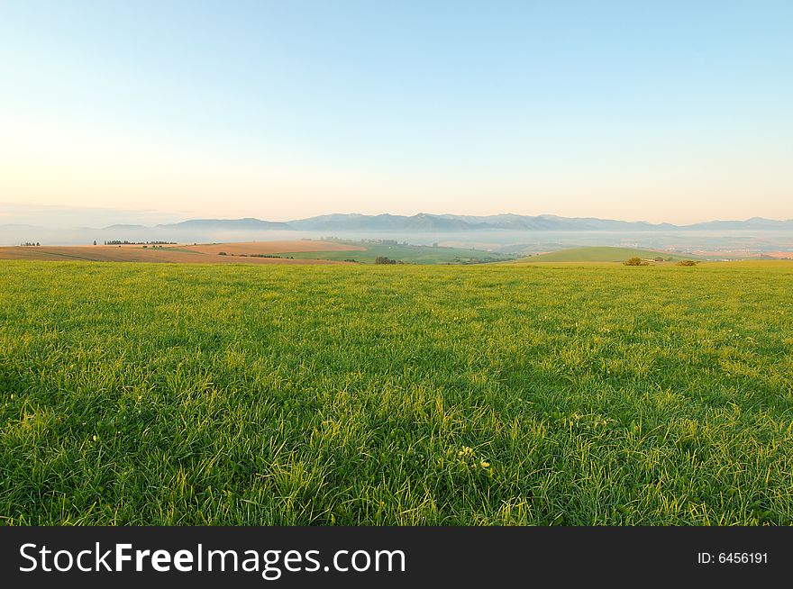 Meadow in morning with mountains in background