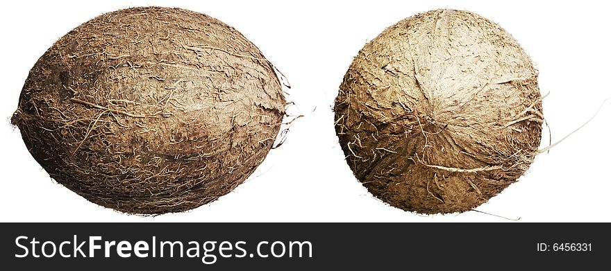 Coconuts