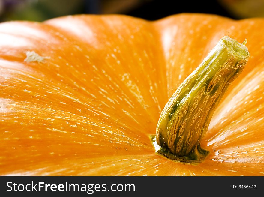 Fresh halloween pumpkin close up