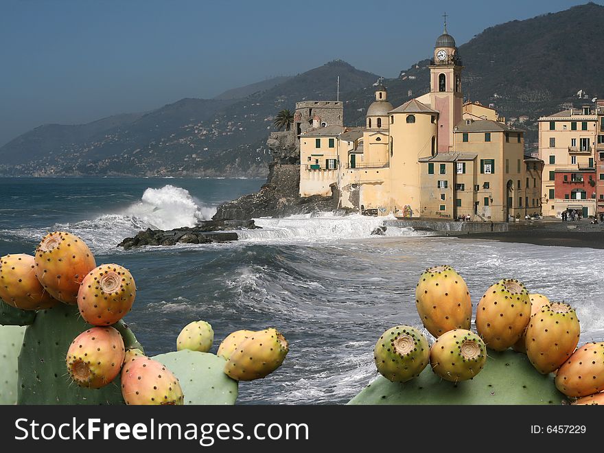 Camogli 3