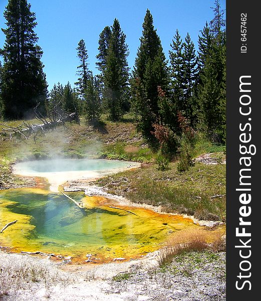 Landscape with colored hot pool in Yellowstone National Park. Landscape with colored hot pool in Yellowstone National Park