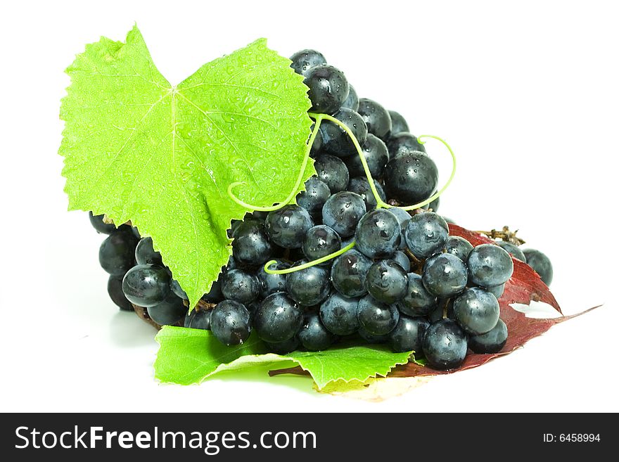 Delicious grapes bunch on the leaf
