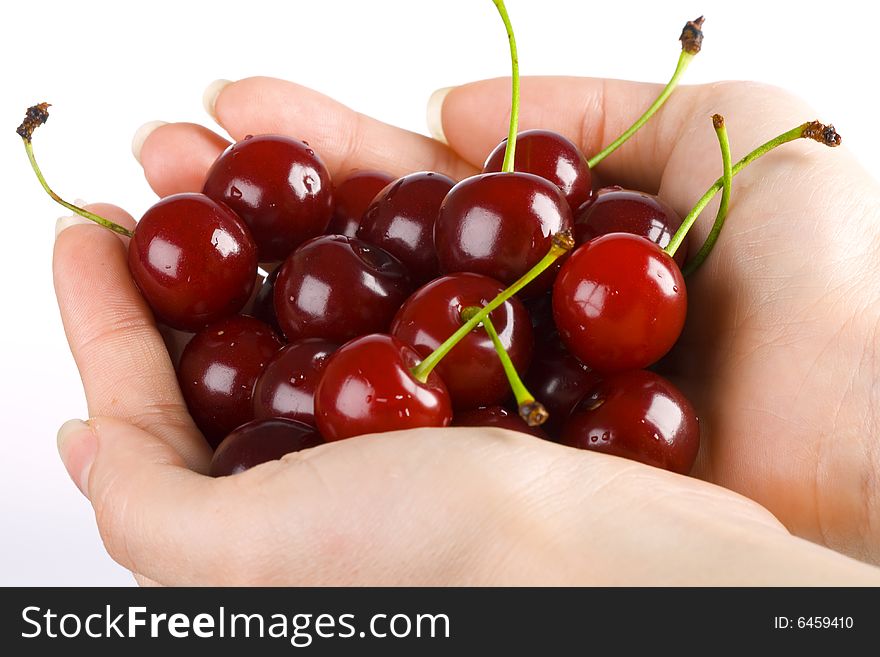 Cherry In A Palm