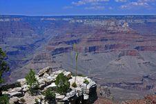 South Rim At Grand Canyon Royalty Free Stock Images South Rim At Grand Canyon Royalty Free Stock Images