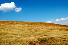 Alpine Meadow Royalty Free Stock Image Alpine Meadow Royalty Free Stock Image