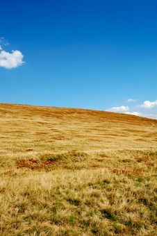 Alpine Meadow Stock Photo Alpine Meadow Stock Photo