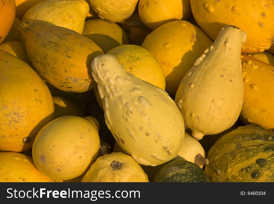 A close up of some fresh picked gourds.