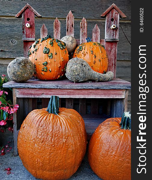 Birdhouse bench with gourds and pumpkins. Birdhouse bench with gourds and pumpkins.