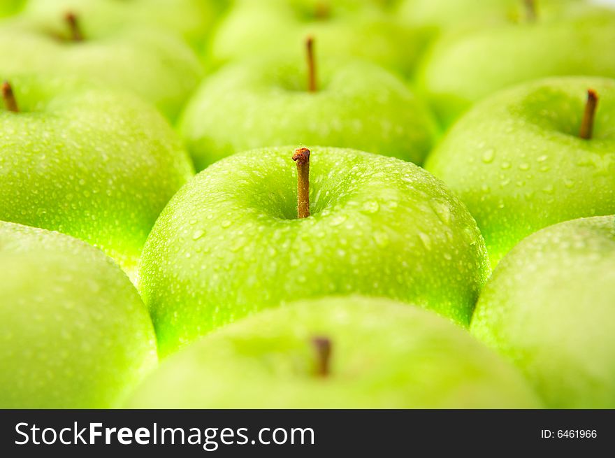 Close up of set of apples in dew. Close up of set of apples in dew