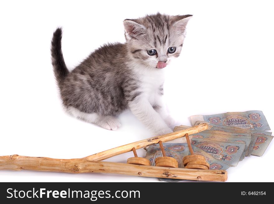 The kitten plays on a white background