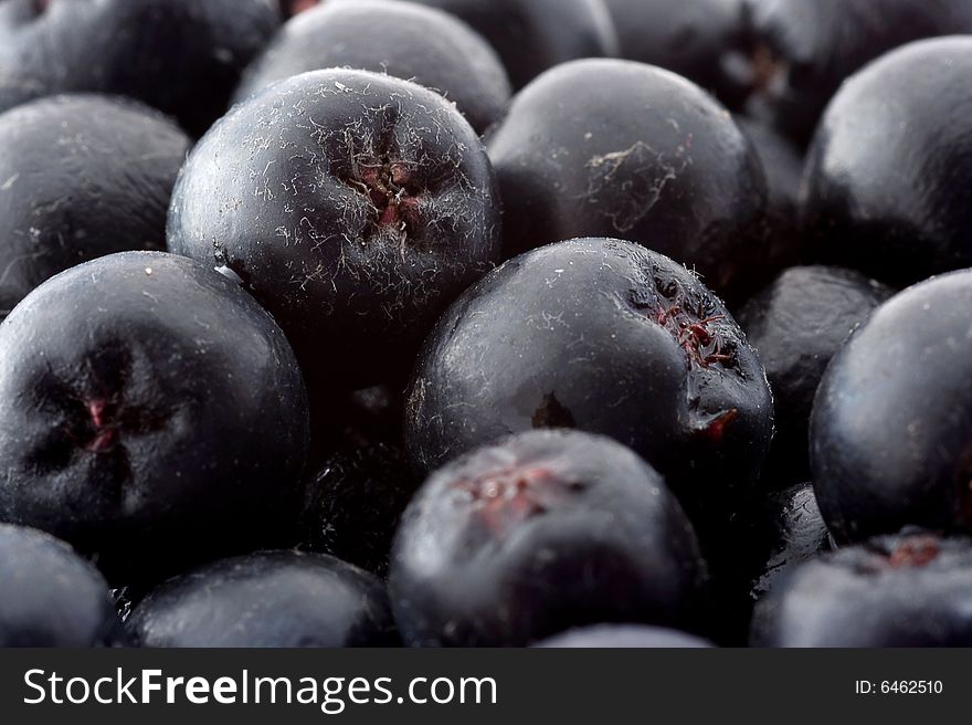 Some berries of a black mountain ash