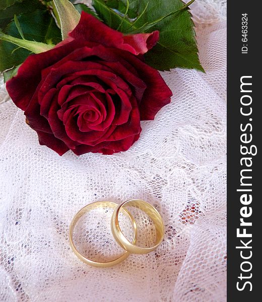 The wedding's rings with a red rose
on the veil. The wedding's rings with a red rose
on the veil
