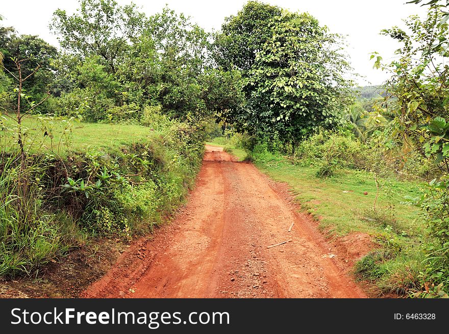 A beautiful road in Kerala, India. A beautiful road in Kerala, India