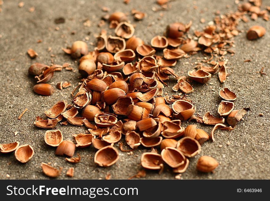 Empty nutshells lying on concrete floor