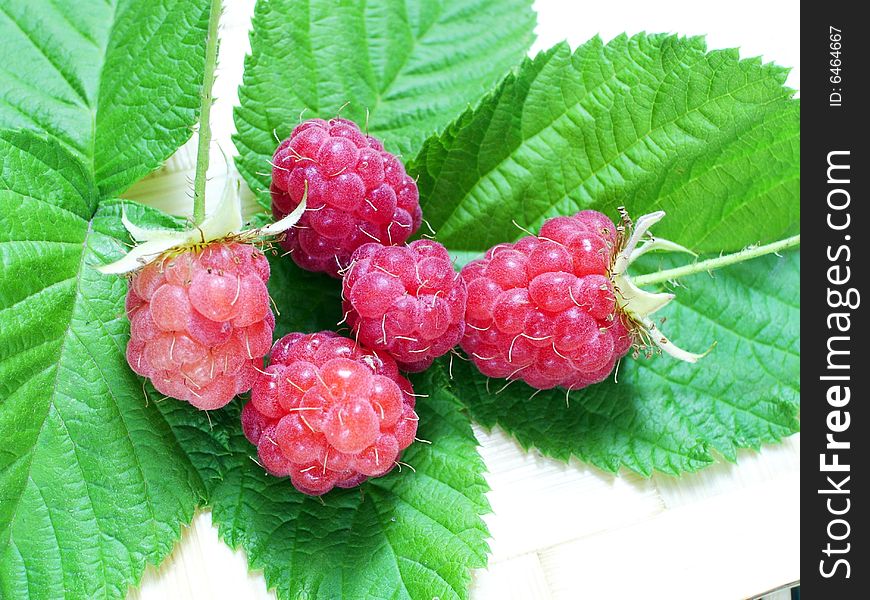 Appetizing delicious ripe juicy raspberry