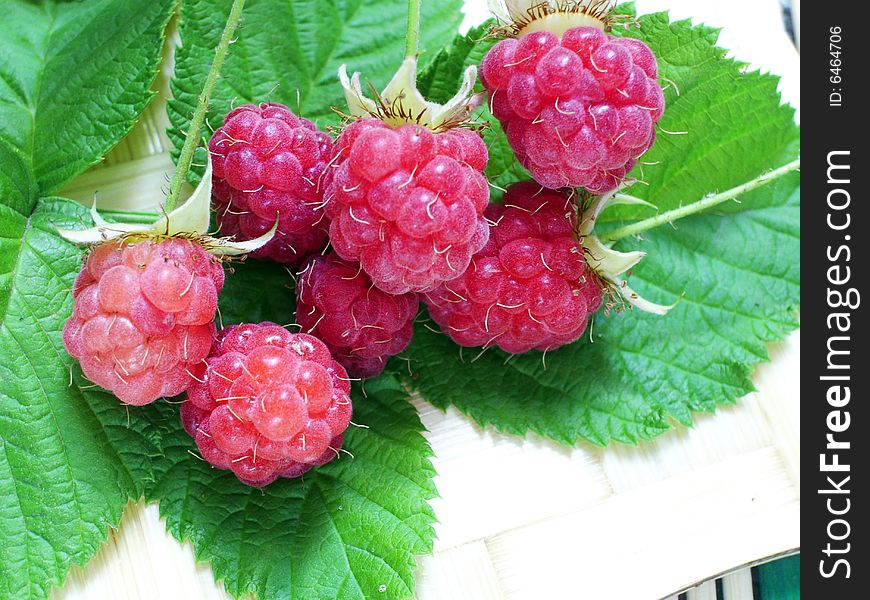 Appetizing delicious ripe juicy raspberry