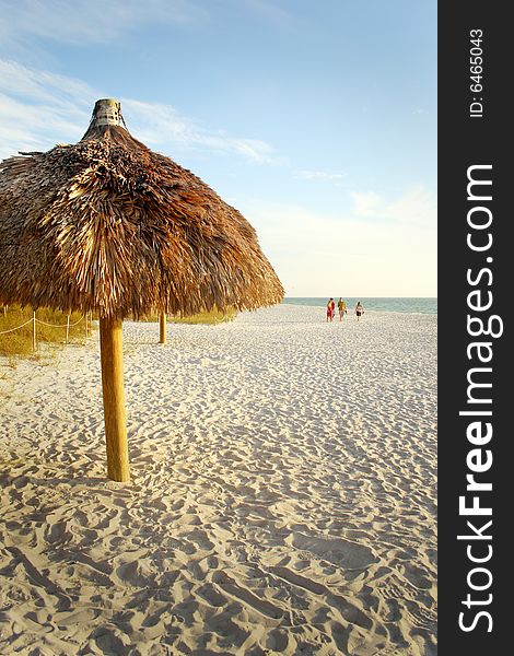 Palm tree umbrella on the beach in Florida. Palm tree umbrella on the beach in Florida