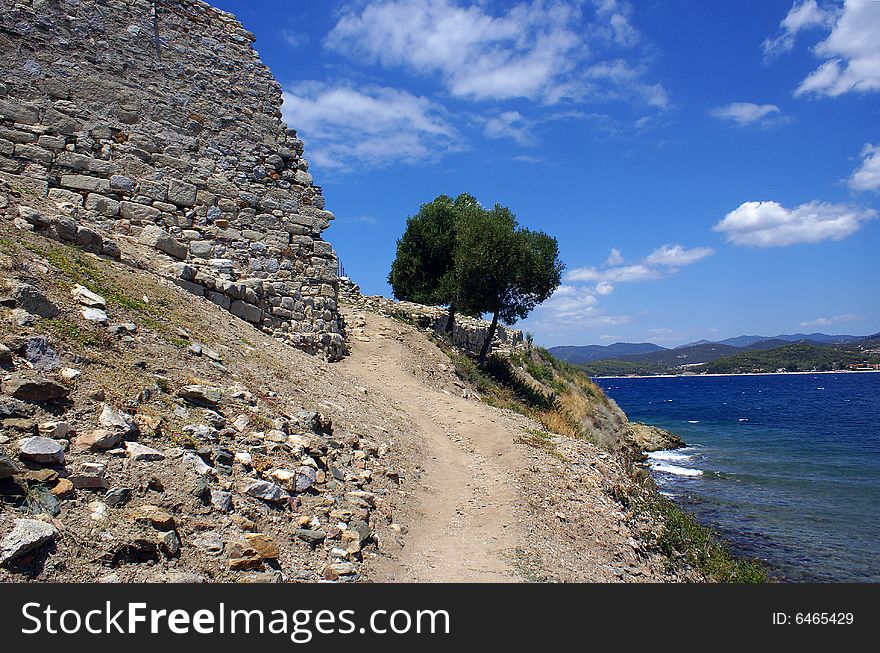 A lonely olive tree at the fortress in Toroni (Halkidiki - Greece).