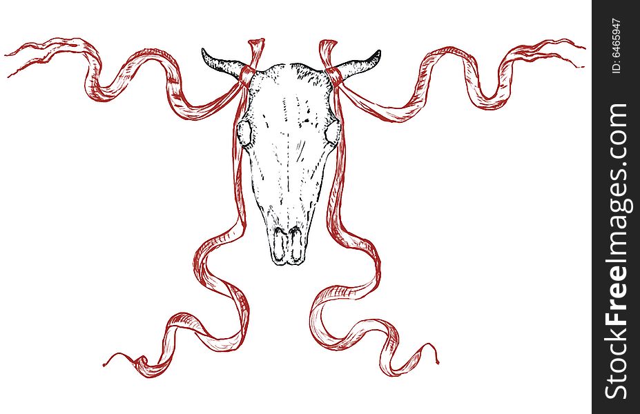 Bull skull (vector)