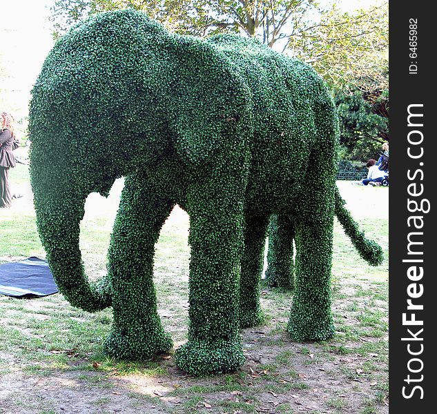 Elephant bush or tree in a park