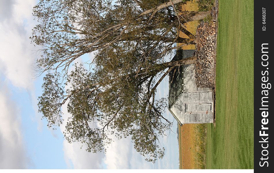 An old shed under trees on a sunny day.