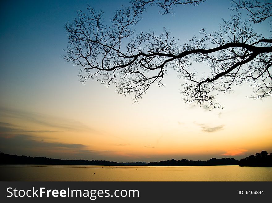 Silhouette of a large tree's branch at sunset over water. Silhouette of a large tree's branch at sunset over water