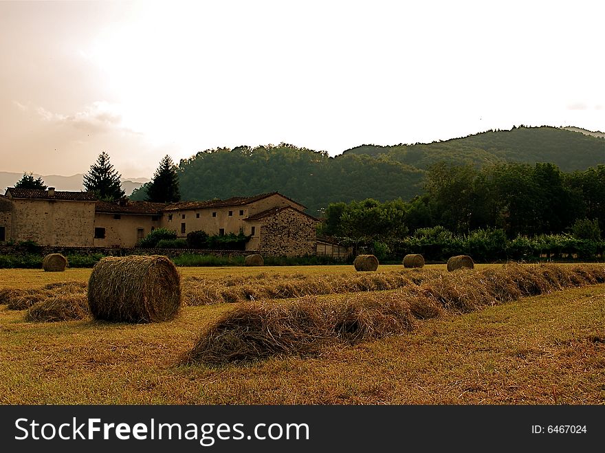 Italians country during cut hay. Italians country during cut hay