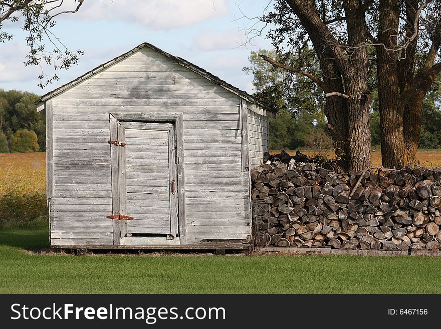 An old shed under trees on a sunny day.