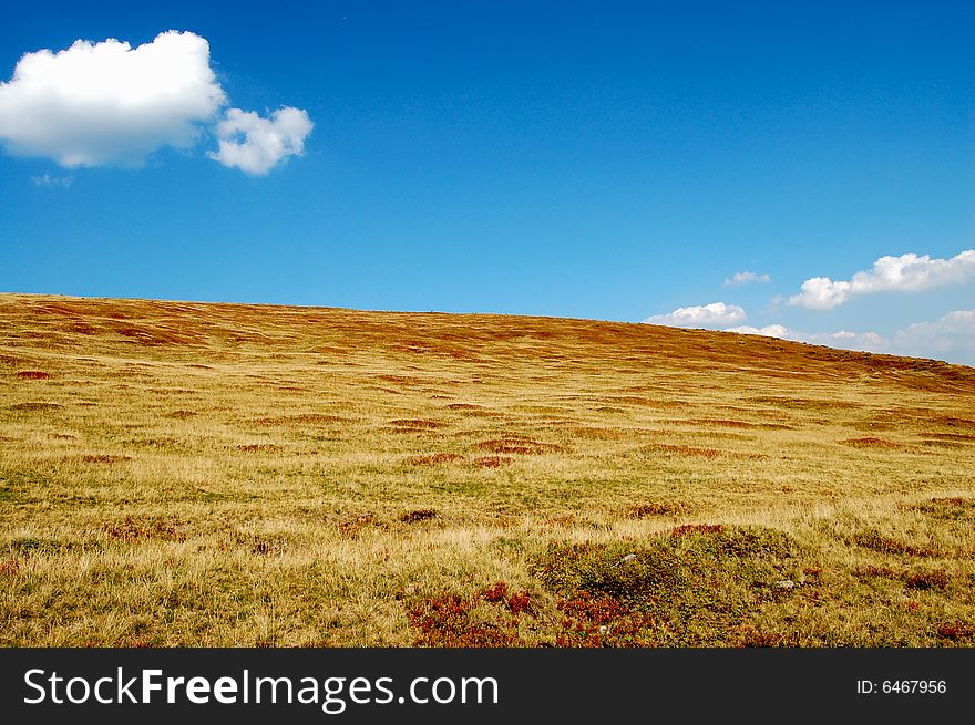 High altitude meadow, mountain top. High altitude meadow, mountain top