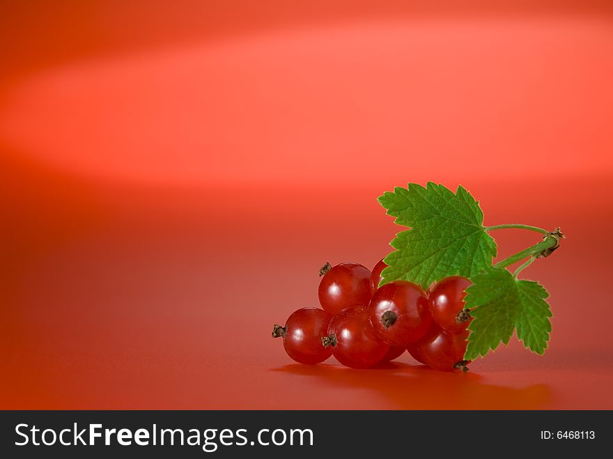 Close up view of nice fresh red currant  on red back. Close up view of nice fresh red currant  on red back