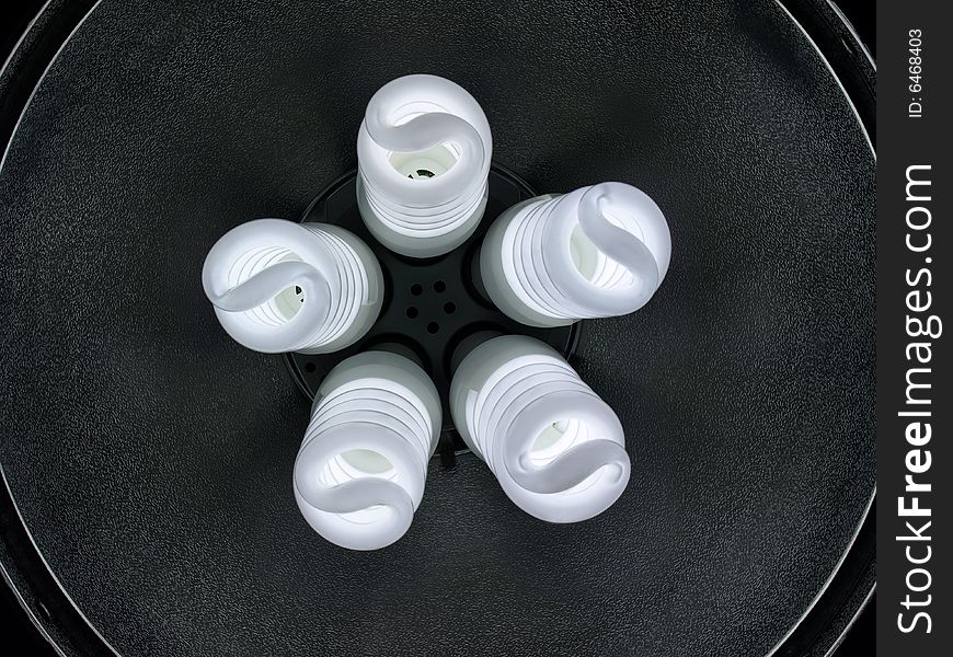 Compact Fluorescents five spiral bulbs front view