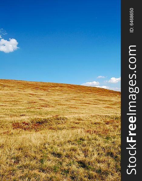 High altitude meadow, mountain top. High altitude meadow, mountain top