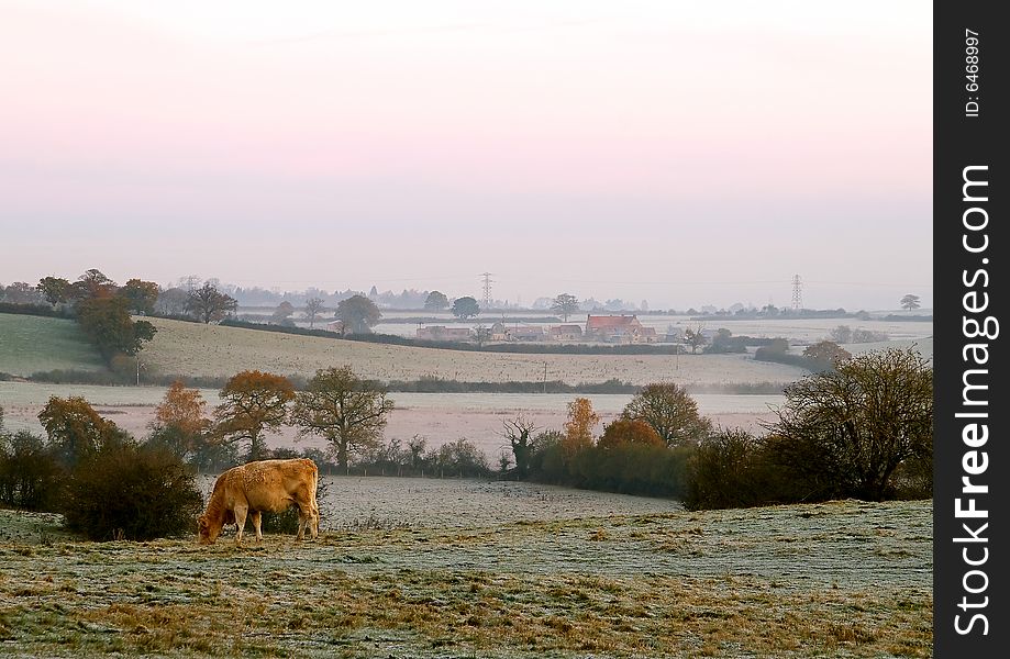 Early morning in Oxfordshire, UK, winter landscape. Early morning in Oxfordshire, UK, winter landscape