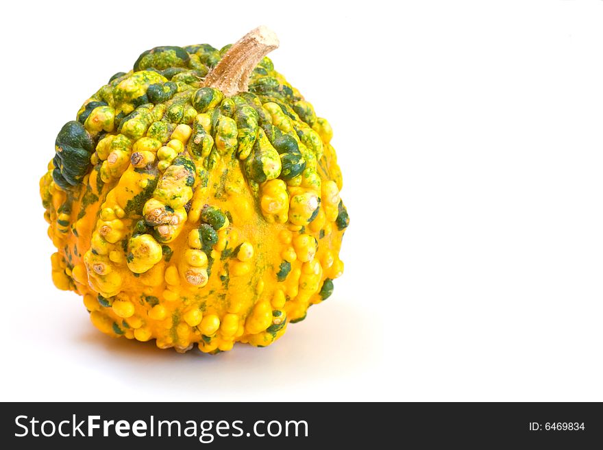 Rare type of mini pumpkin on white background