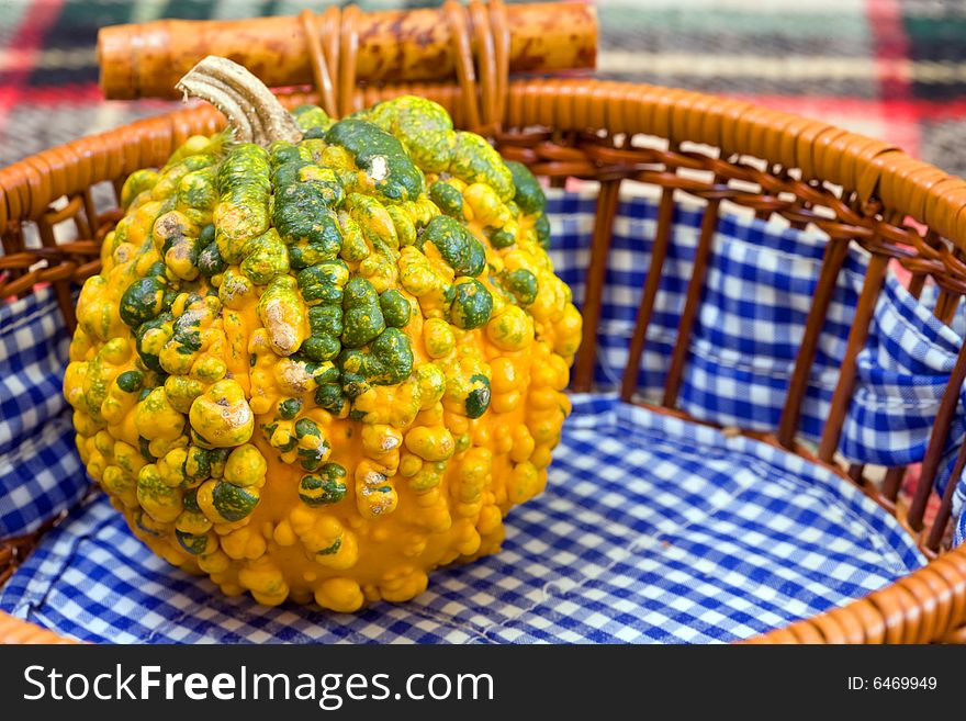 Rare type of mini pumpkin on wood basket