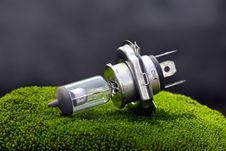 Car Bulb Royalty Free Stock Photos