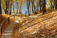 Autumn Park Royalty Free Stock Photo Autumn Park Royalty Free Stock Photo