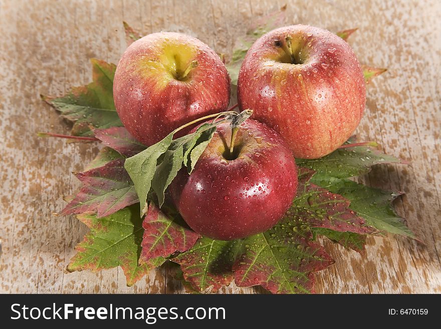 Fresh red apples on maple leaves with rain drops. Fresh red apples on maple leaves with rain drops