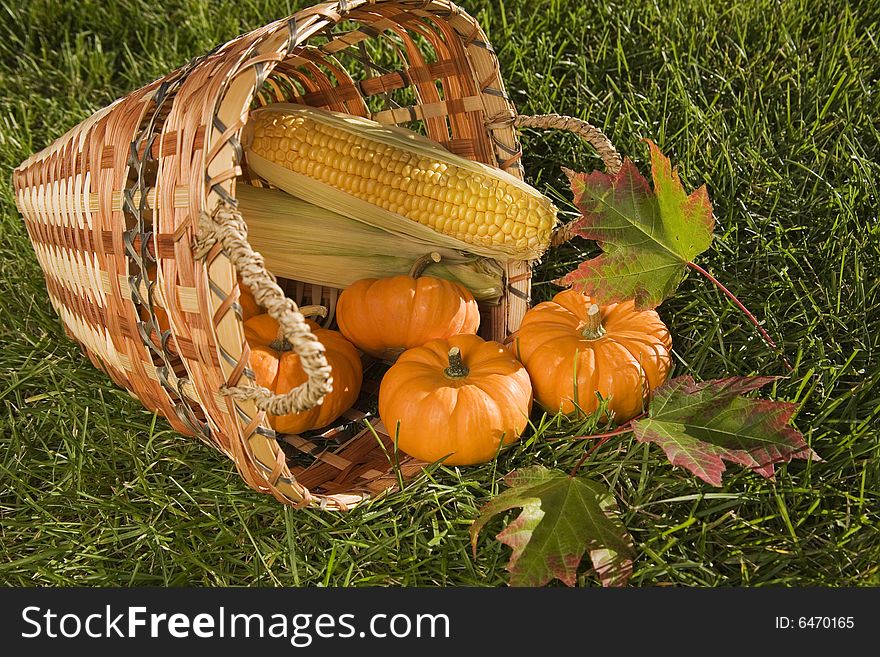 Harvest basket with mini pumpkins and corn