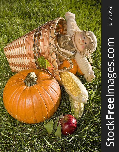 Cute scarecrow doll in a harvest basket with pumpkins, corn and apples. Cute scarecrow doll in a harvest basket with pumpkins, corn and apples