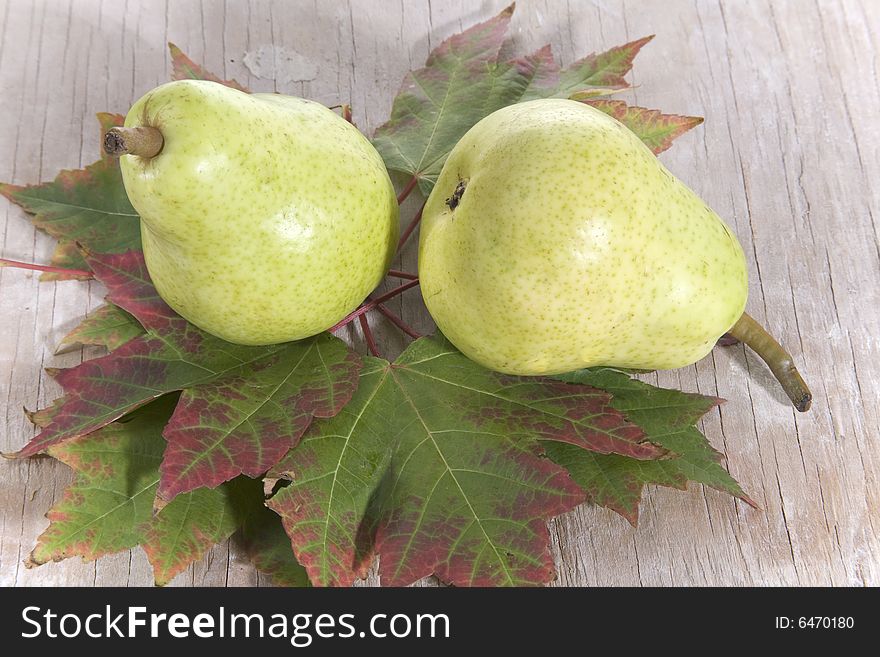 Fresh green pears on maple leaves. Fresh green pears on maple leaves