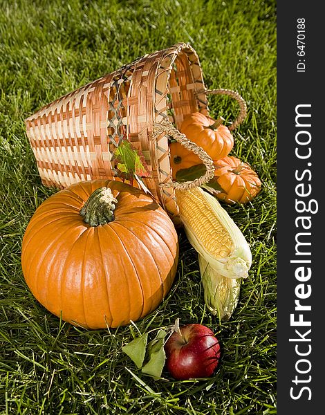 Bright orange pumpkin, corn, apples in a basket. Bright orange pumpkin, corn, apples in a basket