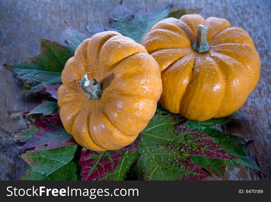 Bright orange pumpkins in the night