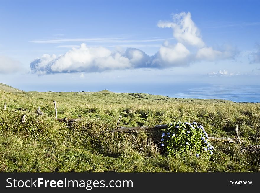 Idyllic green pasture landscape of Pico island, Azores, Portugal